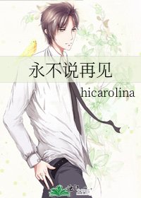 永不说再见